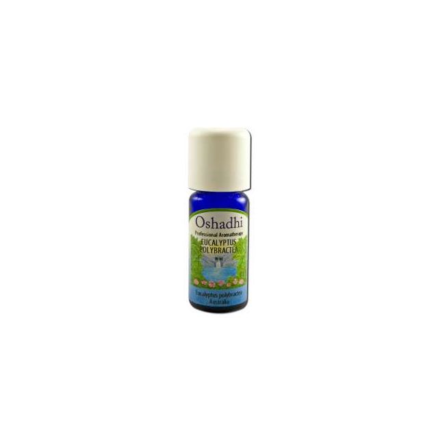 Essential Oil Singles Eucalyptus Polybractea Wild 10 mL