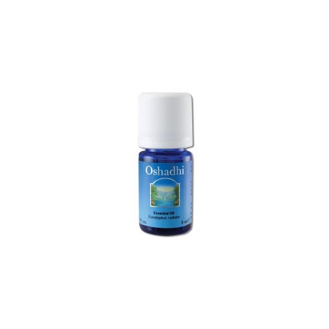Essential Oil Singles Eucalyptus Radiata Wild 5 mL