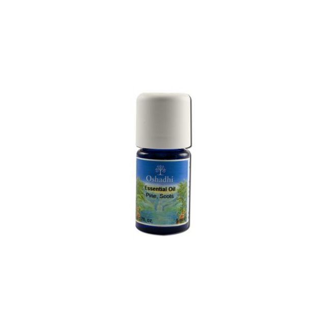 Essential Oil Singles Pine Sylvestre Wild 5 mL
