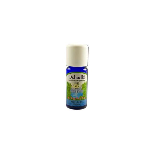 Essential Oil Singles Pine Sylvestre Wild 10 mL